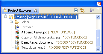 Ewm img x064.png