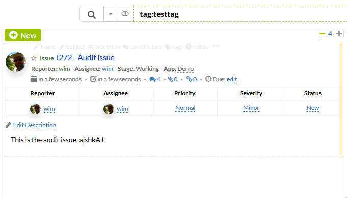 Audittagitem.gif